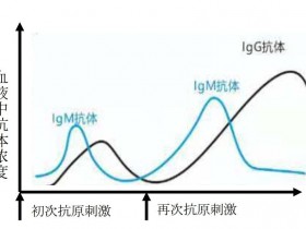 IgM/IgG抗体Elisa定量检测试剂盒